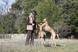 ADULTE ET CHIEN 119